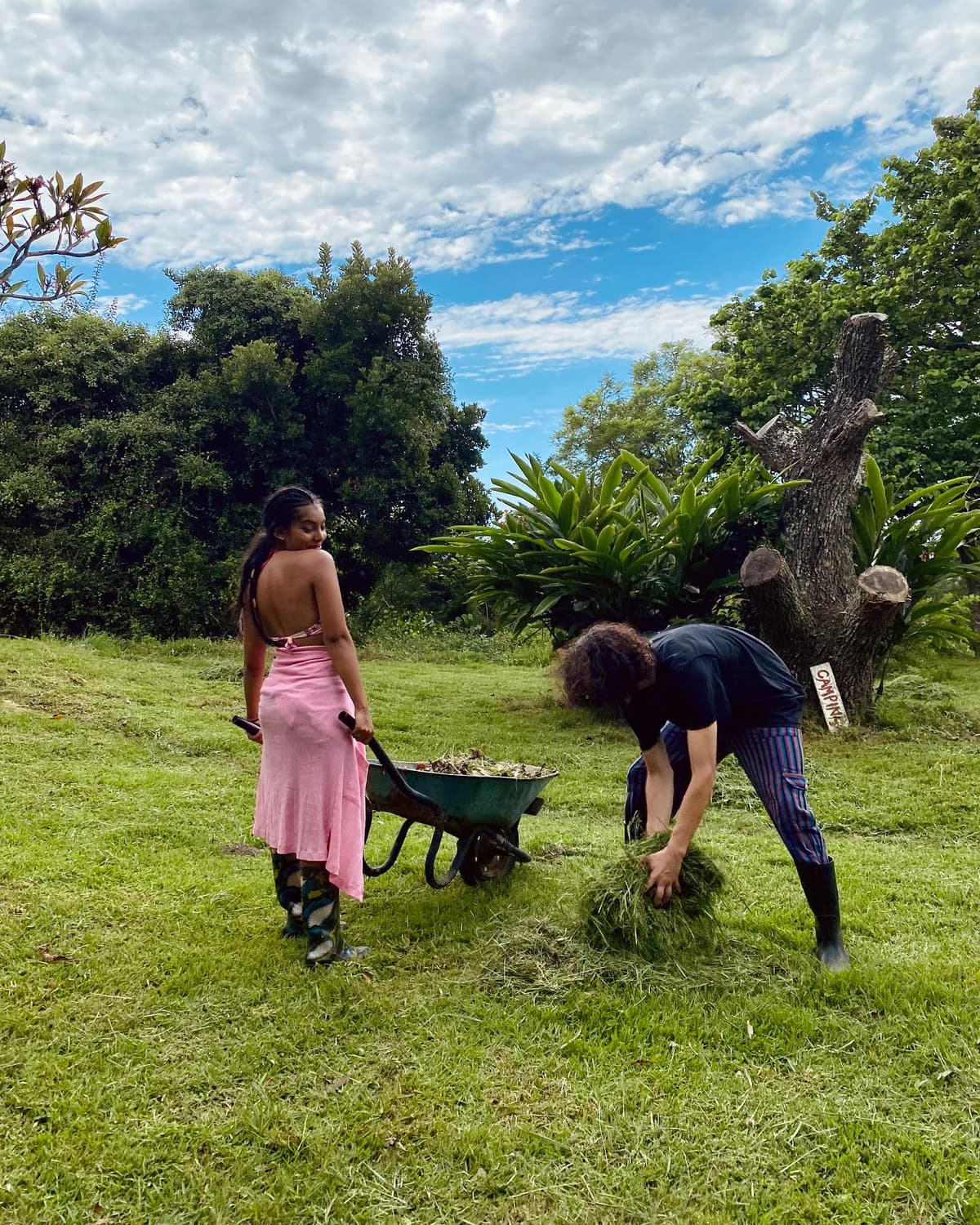Community gardening and food growing